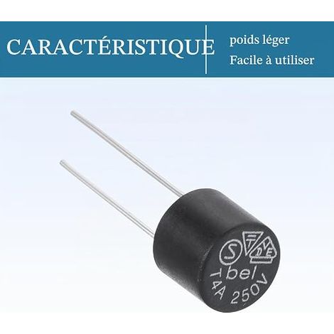 QUARKZMAN Fusibile miniatura T4A 4A 250V a soffio lento nero (1/4)