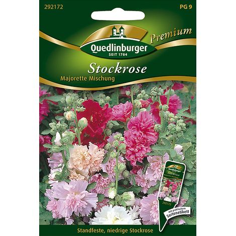 Quedlinburger Saatgut – Rose trémière « Majorette », mélange – Graines de fleurs, bisannuelle, fleurs doubles, hauteur env. 80-100 cm