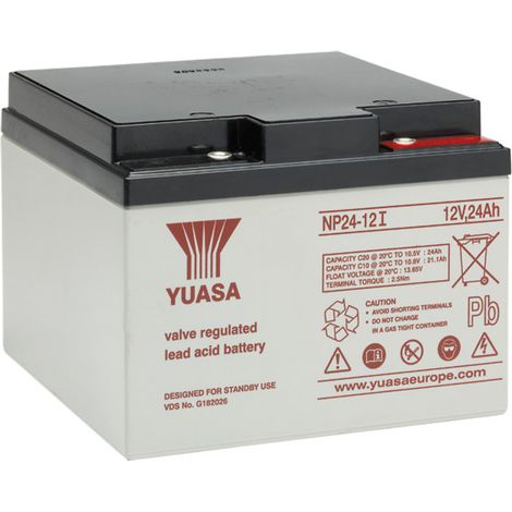 Batterie au plomb NP24-12I, 12V, 24 Ah, 166 x 175 x 125 mm