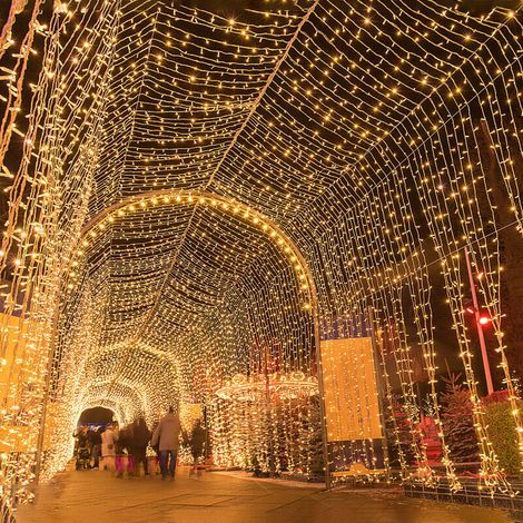 100 m lange Lichterkette mit 1000 LEDs für Karneval, Hochzeiten, Garten- und Innenbeleuchtung – Warmweiß (1/5)