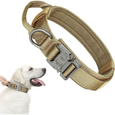 Collier pour chien avec boucle métal, kaki, taille L (43-52 cm) (1/5)