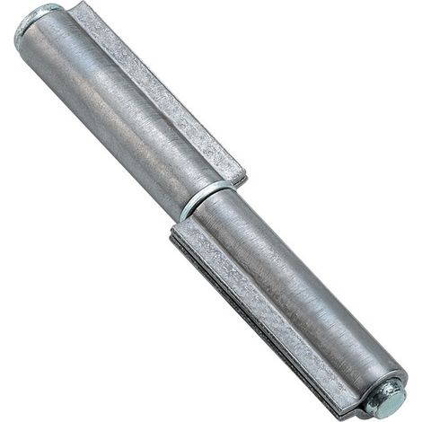 1BS BS CERNIERE X FERRO 2 ALI CM.20 (PZ.4) (1/2)
