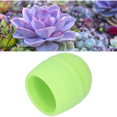 Mini pot de fleurs rond en plastique pour plantes vertes - Décoration pour jardin, maison ou bureau (1/5)