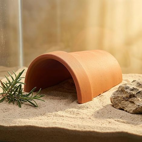 Cachette Reptile Plateforme de Baignade et Abri pour Tortues Lézards Décoration de Terrarium et (1/2)