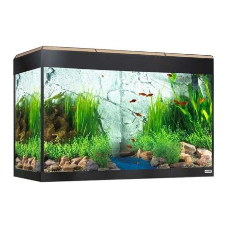 Fluval Rome LED Bluetooth 125L, quercia