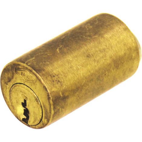 Cylindre extérieur 45mm laiton poli pour SECURICHAUFFE trois clés - JPM - 831745-03-0A (1/2)