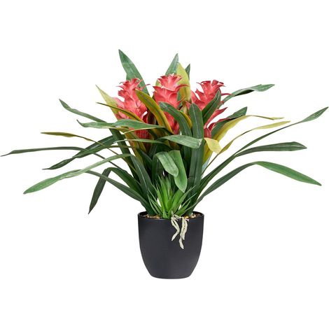 Pianta artificiale in vaso per interni in plastica con Vaso nero 50 cm Guzmania Atilla