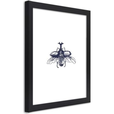 Quadro con cornice, Scarabeo volante - 20x30 (1/5)