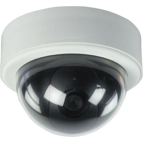 Caméra Dôme Faux De La Tolale De La Machine De Surveillance Vidéo Clignotante