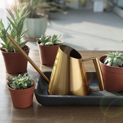 1500ml Edelstahl Langmund Gießkanne Gold Metall Kleine Blumengießkanne Zimmergießkanne Blumenkanne Topfsprinkler für Büro Garten Pflanzen Innen Außen (1/5)
