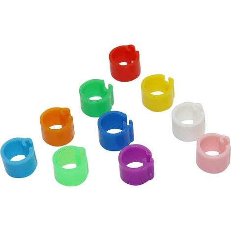 100 Anneaux pour Pattes d'Oiseaux - 6mm Intérieur - Plastique Souple - Identification Colorée - Volailles et Oiseaux Domestiques - Multicolore (1/5)