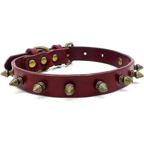 Verstellbares, genietetes Lederhalsband für Haustiere – Beißfestes Hundehalsband (1/5)