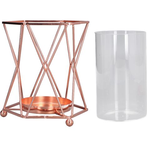 Vase en verre transparent avec support en fer forgé pour plantes hydroponiques, idéal pour salon