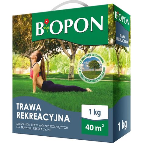 ERBA RICREATIVA 1 KG - BR BIO-1112