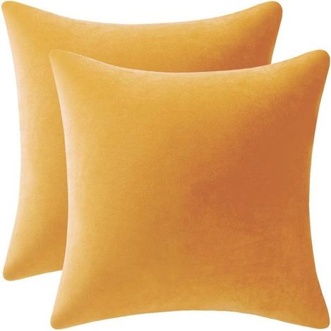 Housse de coussin 30x50cm housse de coussin amovible velours amovible et lavable facile d'entretien décoration d'art moderne (1/4)