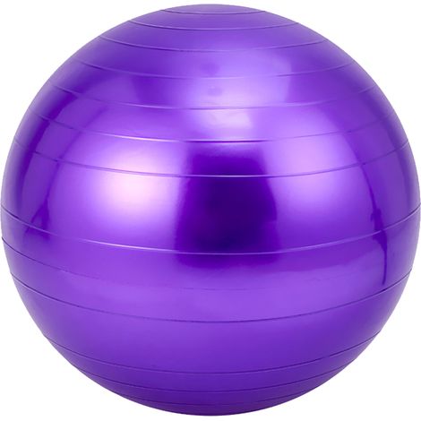 Ballon D Exercice - 55 Cm - Pour Renforcement Du Core Et Stabilite - Ballon De Grossesse Et De Therapie Physique - Avec Pompe Manuelle (1/5)