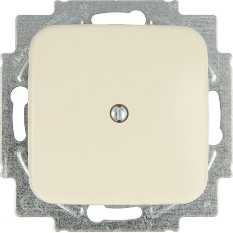 Enjoliveur aveugle avec bague-support Busch-Duro 2000® SI