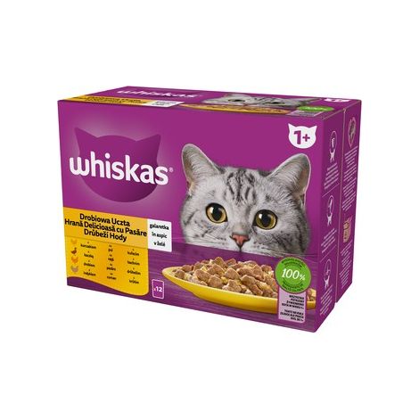 WHISKAS nourriture humide pour chat poulet canard volaille dinde en gelée 1 pièce.