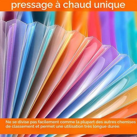 Trieur Document A4,Csseur Rangement 24 Compartiments avec Couvercle,Organiseur Documents Accordéon (Noir) Rayure N DOSSIER SUSPENDU (1/5)
