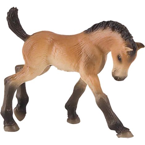 Poulain Trakehner de Bullyland