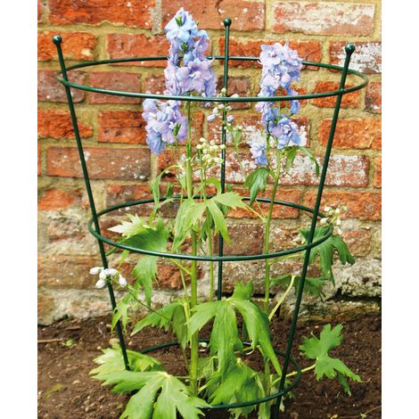 Small Peony Support (Pack of 2) - Steel - L40.6 x W40.6 x H63.5 cm - Bare Metal/Ready to Rust