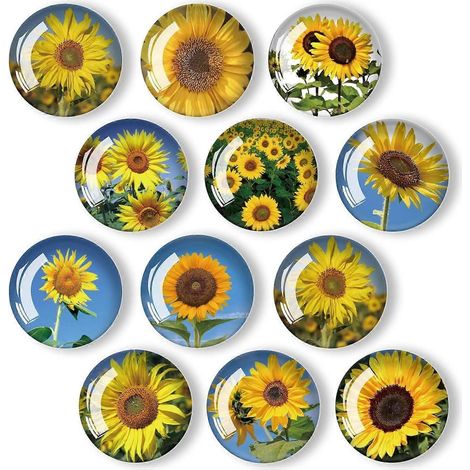 Lot de 12 aimants en verre pour réfrigérateur - 35 mm (Tournesol) (1/4)