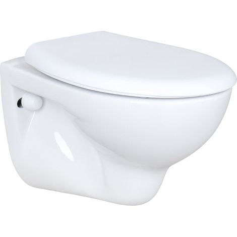 WC Toilette Hänge Wand WC (RosenStern) mit Soft-Close Deckel (1/5)