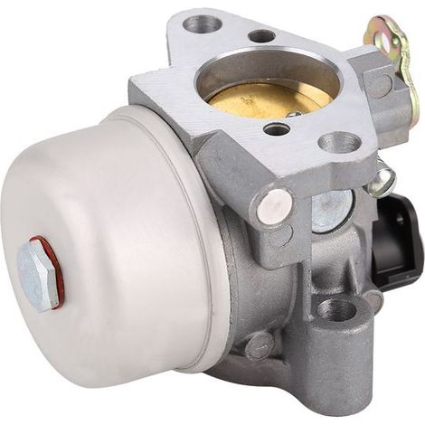 Carburateur avec Joints (12-853-98-S) pour Tondeuse (Moteur Kohler) (1/4)