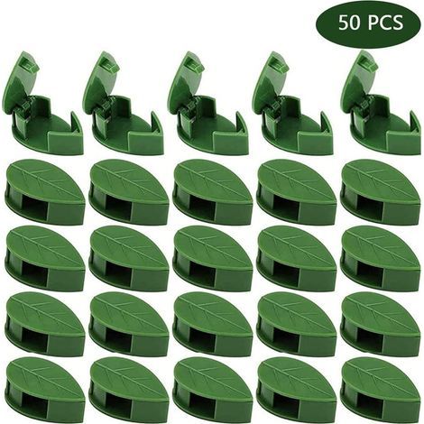 50 Pièces Clips de Fixation Murale d'escalade de Plantes avec 60 Pièces Autocollant Adhésif Acrylique Plante Fixe Invisible Mur Vines Clips de Fixation Plante Connecteur Clip pour (1/5)