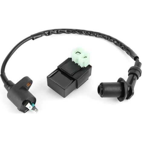 Replacement ignition coil + CDI box module suitable for PIT PRO Quad Dirt Bike ATV GY6 engine.