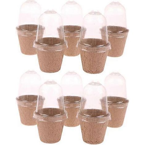 Lot de 10 pots de pépinière biodégradables avec trous de ventilation, couvercle transparent et jetables, pour la germination des fleurs. Idéal pour la maison.6 cm non perforé (1/5)