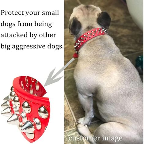 Collare in pelle con borchie per cuccioli, animali domestici di piccola e media taglia, bulldog, femmina, rosso (L) (1/2)
