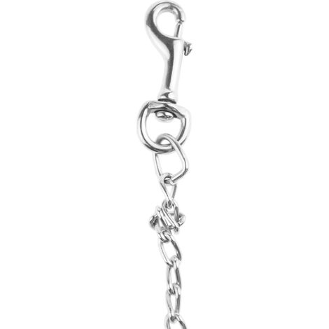 1 Laisse pour chien, métal robuste, poignée mousse PP, crochet sécurisé, dressage quotidien (1/5)