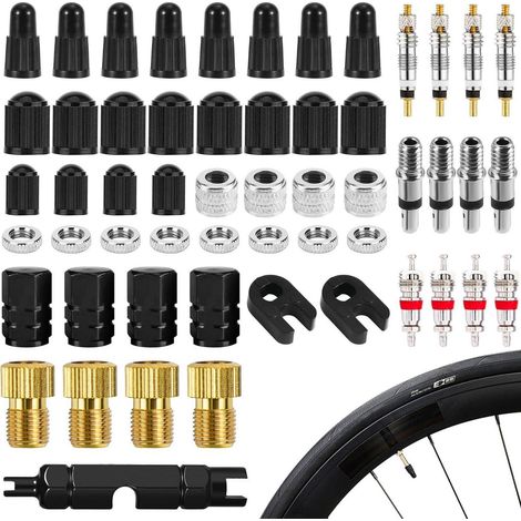 Fahrradventil Set 55tlg. Presta Schrader Adapter Ventileinsätze Ventilkappen Ventilausdreher (1/5)