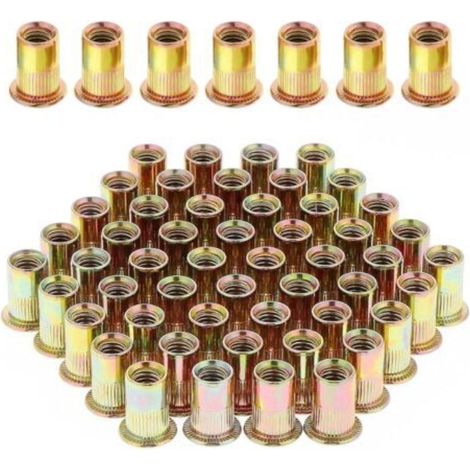 100 Pièces Écrou à Rivet M8 Fileté à Tête Plate, Écrous à Riveter Fileter en Acier au Carbone Zingué, Assortiment M8 Rivet Inserts Filetés pour Métal Plastique (14 mm x 18 mm) (1/5)