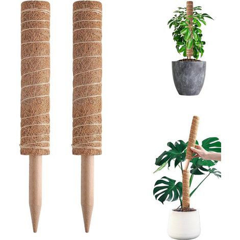 2 tuteurs en mousse - Tuteur pour Monstera - Tuteur pour plantes - Tuteur de 40 cm - Tuteur extensible en noix de coco - Support naturel pour plantes grimpantes comme le monstera et le pothos (1/5)