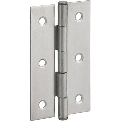 Cerniera per porta 60 x 35 mm, acciaio – THIRARD