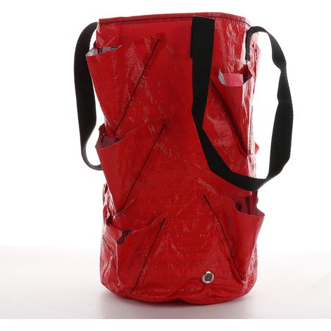 Sac de culture pour fraises en plastique PE, 3 gallons avec 16 ouvertures, dimensions 35x20cm, design portable (1/3)