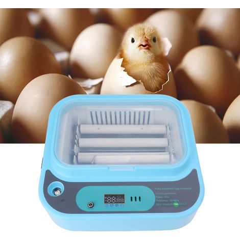Incubateur d'œufs automatique pour 6 œufs avec tourneur, ajout d'eau et contrôle de température, alimentation double, pour poulets, canards et oies (1/4)