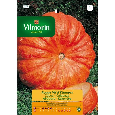 Seme vilmorin palabaza rouge vif d 'etampes - 7 gr