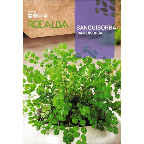 Rokalba sanguisorba Taschen Samen 3g