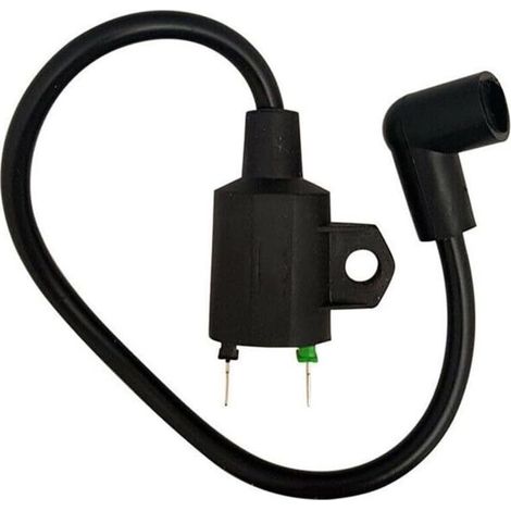 Ignition Coil for ET950 and ET650 Generator Engines, Reliable and Efficient (1/5)