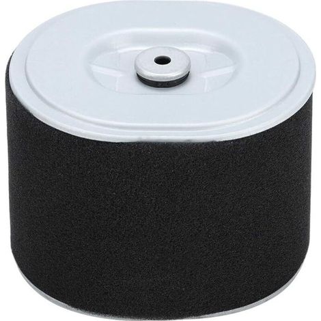 Filtre à Air Gx390 Filtre à Air Afze18 Filtre à Air Af Ze28 Moteur Gx390 Pièces de Nettoyeur Haute Pression Gx390 294, Accessoire de Remplacement de Filtre à Air pour Tondeuse à Gazon pour Moteur Hond (1/4)