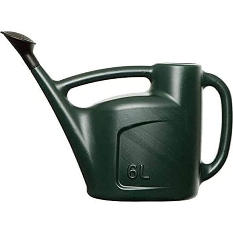 Arrosoir 6 L en plast vert avec pomme – Pour plantes d'intérieur (1/5)