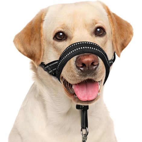 Collier souple pour chien, rembourré anti-traction, laisse de nez de dressage avec lien de sécurité pour chiens de taille moyenne et grande taille, laisse muselière réglable, contrôle (1/5)