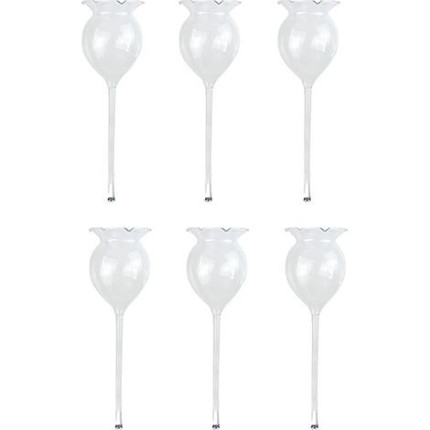 Lot de 6 arrosoirs à plantes avec globe d'arrosage automatique en verre transparent soufflé à la main. (1/5)
