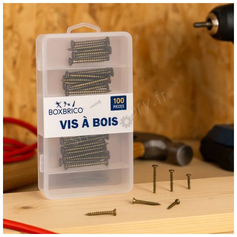 Lot de 100 Vis à Bois – 5 Tailles pour Bricolage & Menuiserie (1/5)