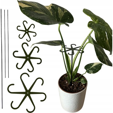Supporto per piante e fiori Supporto robusto Pinza di supporto con asta S M L 3x (1/5)