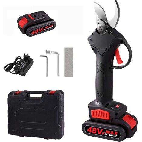 Stromversorgung, 48VF-Profi-Netzkabel, 1 Batterie mit Aufbewahrungsbox, EU-Stecker (1/5)
