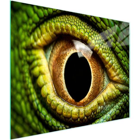TAGLIERE IN VETRO 52x30 EYE (1/5)
